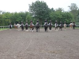 img_9404_web